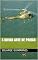 Livro A DIVINA ARTE DE PAIRAR (SÉRIE FORÇA AÉREA BRASILEIRA / COLEÇÃO NO FINAL DO ARCO ÍRIS Livro 6)