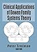 Clinical Applications of Bowen Family Systems Theory (Haworth Marriage and the Family)