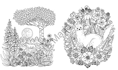 Nightfall Coloring Book: Originally Published in Sweden as "Skymningstimman" (Maria Trolle)