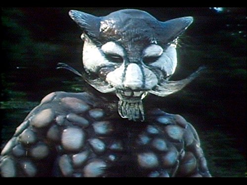 Amazon Co Jp 変身忍者 嵐を観る Prime Video