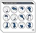 12-in-1 Cooling Neck Wrap, Gaiter, Bandana, Headband or Scarf for Men & Women - Versatile Cool Headwear for Summer Heat - UPF 50 Head Wrap for Sun Protection - Skin Cancer Foundation Recommended
