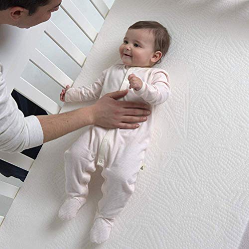 BUNDLE OF DREAMS 3813524 38 x 24 x 5 Inch Replacement Hypoallergenic