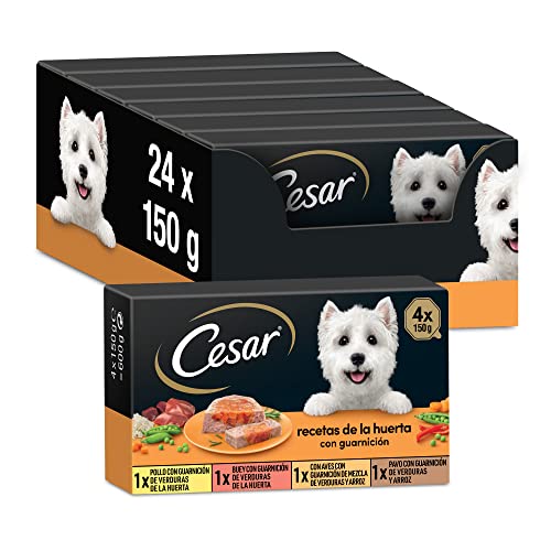 Multipack Tarifs Alimentaires humides pour Chiens Sélection et gélatine, gélatine Recettes de la Huerta (Pack de 6 x 4 Tarrinas x 150g)