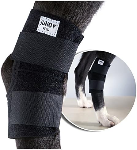 JunoPets Dog Canine Rear Leg Brace with Hole, Hock Joint Wrap