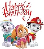 PAW Patrol - Birthday - For Light-Colored Materials - Everest Skye Marshall - Iron On Heat Transfer 5.5