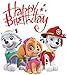 PAW Patrol - Birthday - Everest Skye Marshall - Iron On Heat Transfer 5.5
