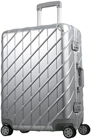 Hardside Lightweight Spinner Luggage Travel Carry-on Expandable Trolley Suitcase (24-inch, Silver 1)