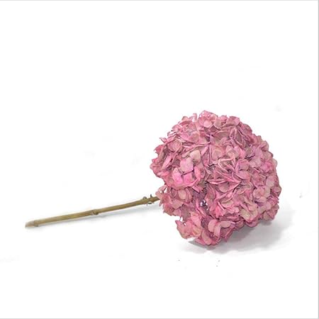 Meen Fleur éternelle Bouquet Dhortensia Séché Arrangement
