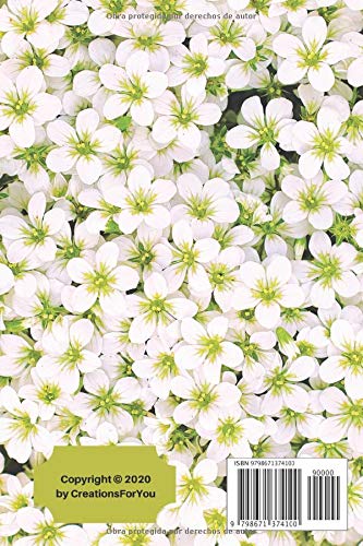 Inolvidable: Agenda para Contraseñas de Internet - con Pestañas Alfabéticas en Letra Extra Grande Para Personas Mayores (Spanish Edition)