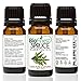 Biofinest Spruce Essential Oil - 100% Pure Organic Therapeutic Grade - Best for Aromatherapy, Skin and Hair Care, Ease Sleep Stress Bad Mood Fatigue Muscle Joint Pain Arthritis - Free E-Book (10ml)