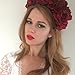 DreamLily Women's Hawaiian Stretch Rose Flower Headband Floral Crown for Garland Party BC12