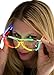 Neon Nightlife Rainbow Frame/Clear Lens Light Up Glasses