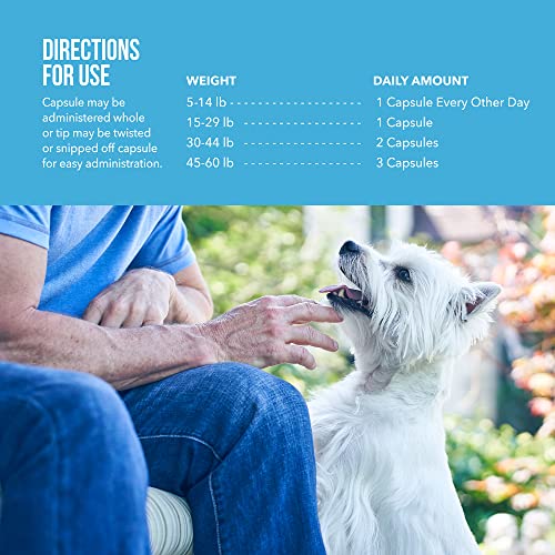 Free Form Snip Tips Omega-3 Fish Oil Liquid Supplement for Medium & Large Dogs, 60 Count