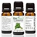 BioFinest Coriander Oil - 100% Pure Coriander Essential Oil - Premium Organic - Therapeutic Grade - Best For Aromatherapy - Food Enhancer - Promote Lower Blood Pressure - FREE E-Book (10ml)