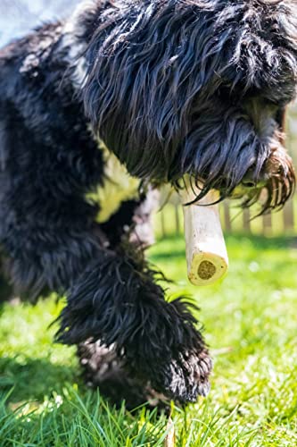 5-6″ STUFF PEANBUTT BONE