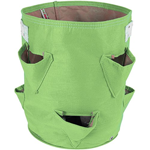 BloemBagz Strawberry Planter Grow Bag, 9 Gallon, Honey Dew (SBP-25)