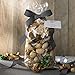 Westin White Tea Potpourri - Signature White Tea Scent - with Hydrangea, Pinecones, Gardenia, and Apple - 12 oz.