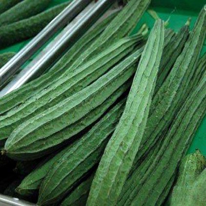 Creative Farmer Vegetable Seeds : Ridge Gourd Seeds - Variety Jaipur Long For