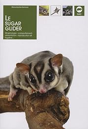 Le  sugar glider