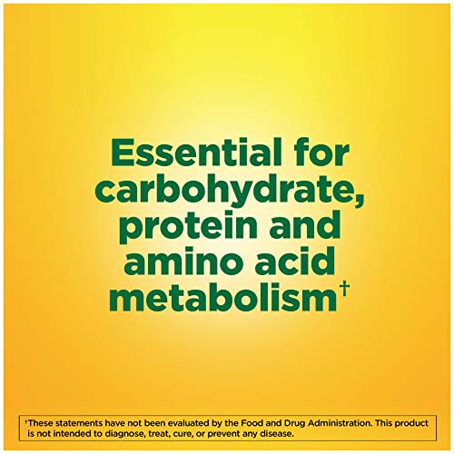 Nature Made Vitamin B6 100 mg Tablets, 100 Count for Metabolic Health Pricepulse