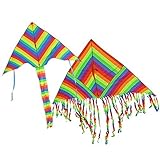 BeMax Twins Rainbow Delta Kites flyer Easy to Assemble Launch and Fly - 1600