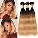 Black Rose T1B 27 Straight Human Hair Weaves Black to Honey Blonde Ombre Hair 3 bundles 8A 100% Peruvian Virgin Hair Extensions Silky Straight Dark Root Two Tone Hair Weaving 300G(T1B/27#,10