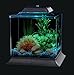 Koller Products 1.5-Gallon AquaScene Aquarium with LED Lighting