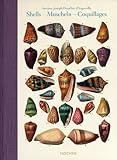 Shells / Muscheln / Coquillages: Conchology, or The Natural History of Sea, Freshwater, Terrestrial by
