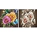 Hestya 2 Pieces Flower Diamond Painting DIY Kit Rhinestone Painting Craft Supply for Art Craft DIY Home Decoration