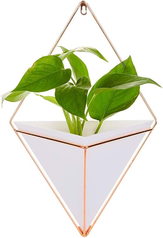 1pc Geometrica Plantador Colgante Blanca De La Pared De La