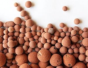 Amazon com Hydro Clay Pebbles Leca Orchid Hydroponic 