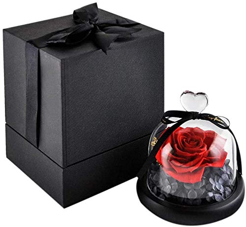 KNRAGHO Handmade Enchanted Rose Forever Rose – Birthday Gift Fresh Flowers - Beauty ad The Beast Rose for Girlfriend