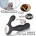 Anal Plug Vibrator Sex Toy, SHEQU Vibrating Prostate Massager Adult Toy with Wireless Controller Rechargeable Butt Stimulator with 10 Variable Vibration Mode for Men Women and Couples (Beryl Plug)