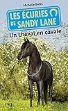 Les écuries de Sandy Lane, Tome 7 : Un cheval en cavale by 
