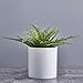 FaithLand Plant Pot 8 inch - Perfectly Fits Mid-Century Modern Plant Stand - Drainage Plug and Drainage Mesh Screen - Matte White Planter Pot