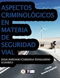 Image de Aspectos criminológicos en materia de seguridad vial (Spanish Edition)