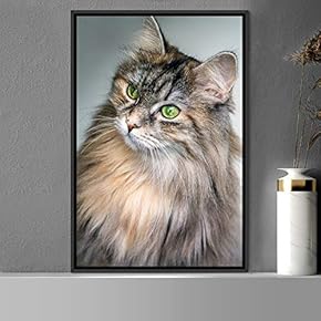 signwin Framed Canvas Wall Art Cat Animals Cat...