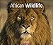 African Wildlife Kalender 2020 by