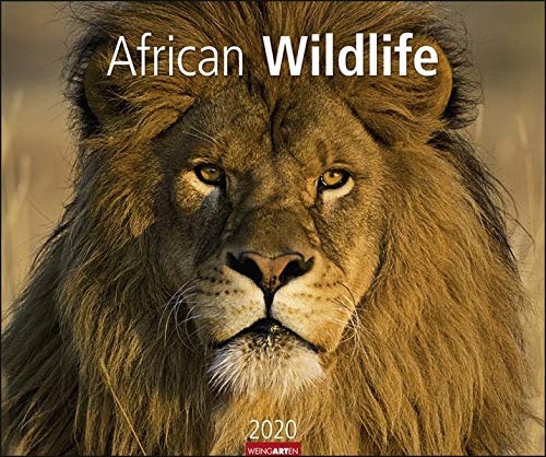 African Wildlife Kalender 2020 by
