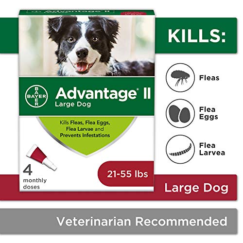 Flea and Lice Treatment for Dogs, 21 - 55 lb, 4 doses, Advantage II