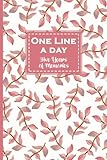 One Line a Day, Five Years of Memories: Pastel Pink, A Five Year Memoir, 6x9 Dated and Lined Diary, 5 year Journal (One Line a Day a Five Year Memory Book) by Panda Studio