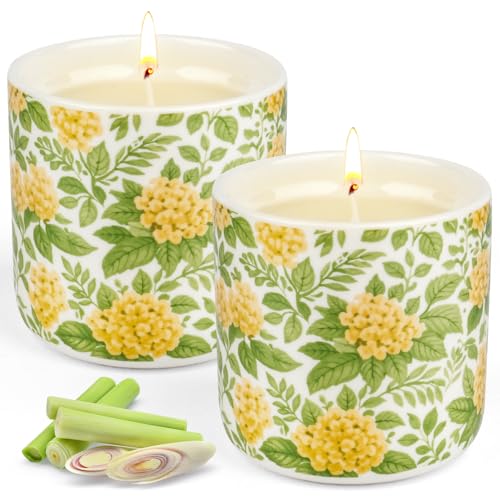 Citronella Outdoor Candle, 240 Hours Citronella Candle, Large Ceramic Outdoor Candle, Pack of 2, Natural Soy Wax Citronella Candle for Garden, Camping, Patio, Picnics, Summer Gift