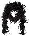 DELIGHTBOX 6' Black Play Fancy Dress Up Toy Feather Boa (2 Pack) primary