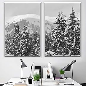 signwin 2 Piece Framed Canvas Wall Art Misty...