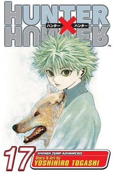 Hunter X Hunter Vol 17 Togashi Yoshihiro 9781421510736