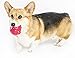 R2P Group Zany Bunch Zany Ball - Wiggling, Jiggling, Electronic Dog Toy