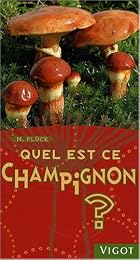 Quel est ce champignon ?