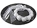 YoumeHome Wedding Flower Girl Headpiece Floral Crown to Match Flower Girl Dress (White)