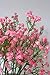 Anatural Artificial Flowers Baby Breath Real Touch Fake Gypsophila Flowers Steam Bouquet for Wedding Party Table Centerpieces Home Kitchen Office Windowsill Decorations 10pcs 15.7 Inches (Pink)