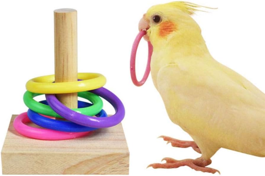 tingtin Bird Parrot Toys, Bird Puzzle Training Toy - Rings Toy for Conures, Love Birds, Small Parakeets Cockatiels, Macaws method